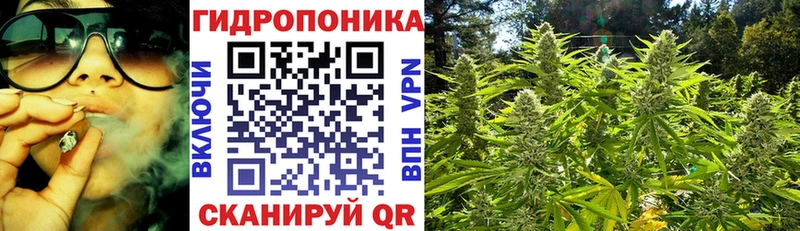 Купить  Мичуринск  Шишки марихуана MAZAR 